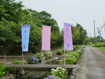 kamo9