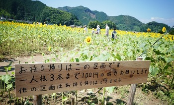 hima6
