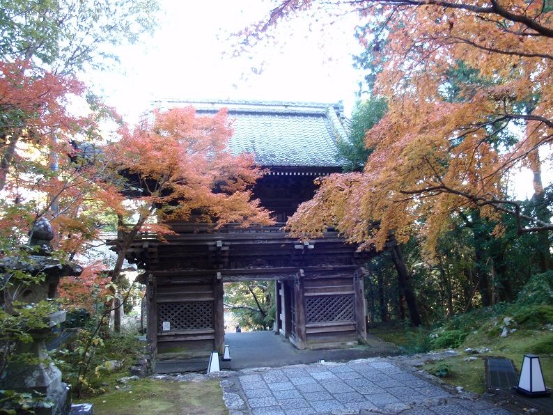 竹林寺の紅葉 高知のんのんお散歩 竹林寺の紅葉 高知のんのんお散歩
