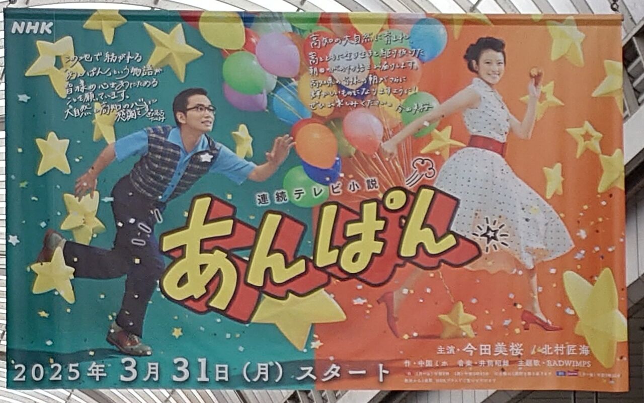 人気デザイナー いろいろなあんぱん 高知のんのんお散歩 : アイドル