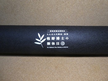sinkyuujitu (15)