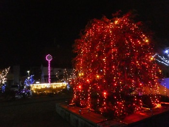 sakae15