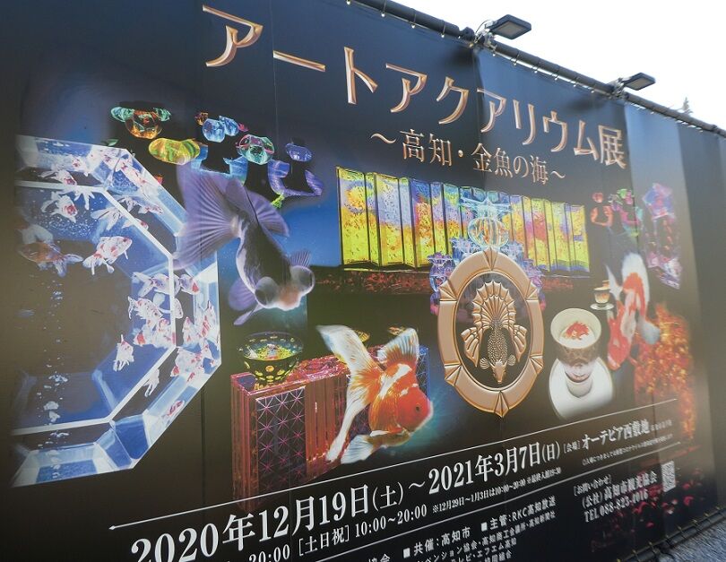 アートアクアリウム展高知 高知のんのんお散歩