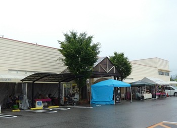 rigu3