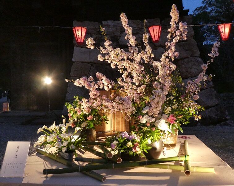高知城花回廊21へ 高知のんのんお散歩 高知城花回廊21へ 高知のんのんお散歩
