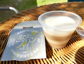 maru10