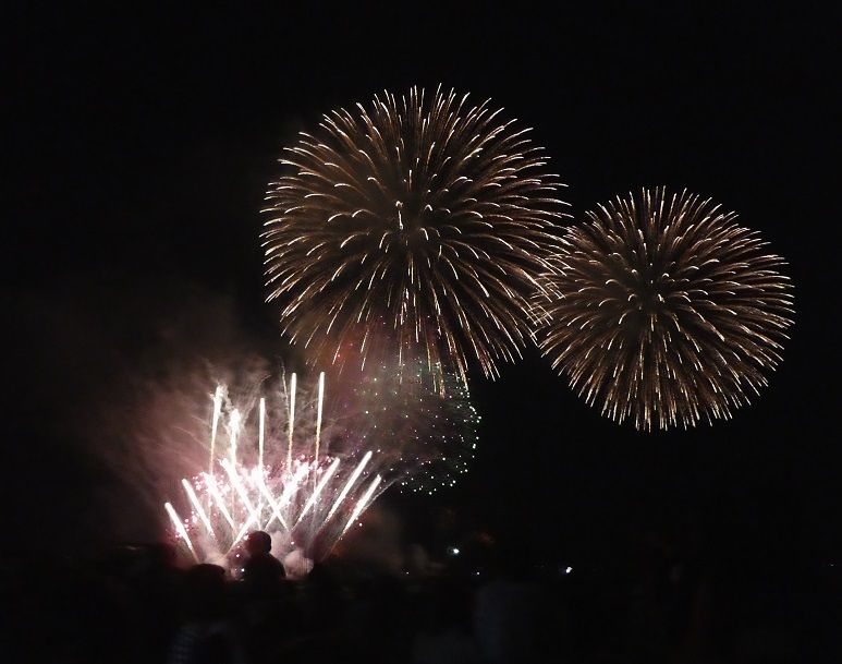 第3回 土佐横浜みなと未来祭り : 高知のんのんお散歩