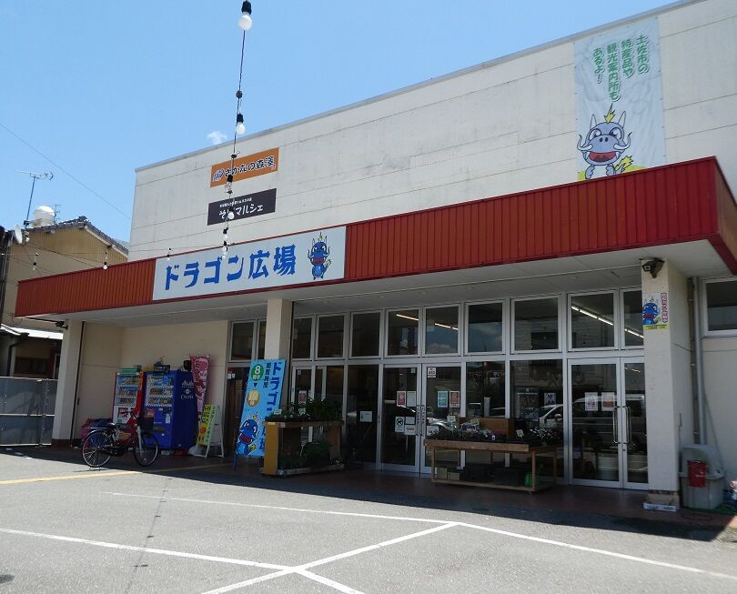 龍食堂のお弁当 高知のんのんお散歩