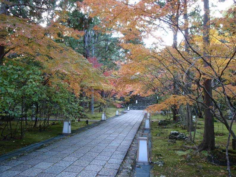 竹林寺の紅葉 高知のんのんお散歩 竹林寺の紅葉 高知のんのんお散歩