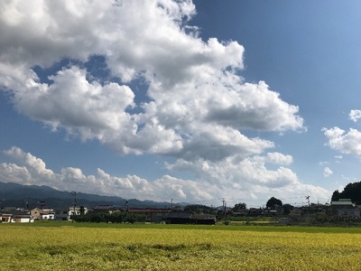 20180905142841