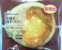 NEC_5325