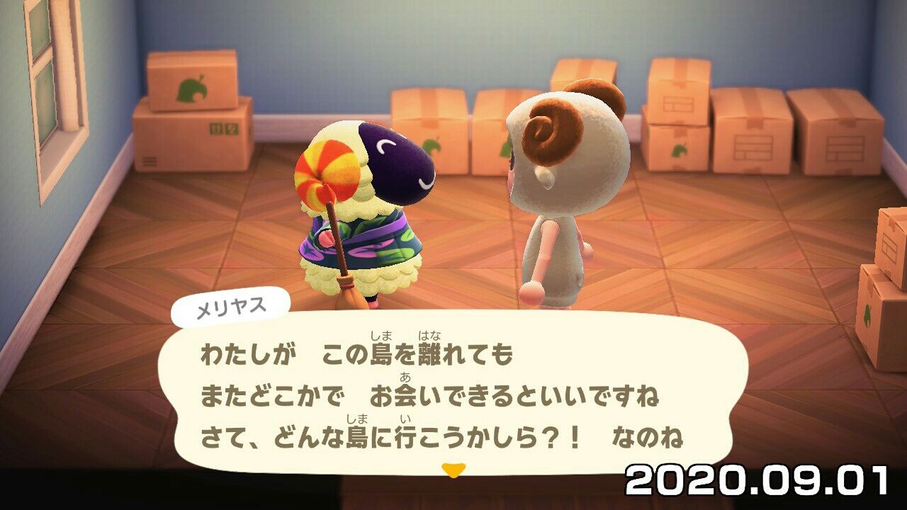 森 どんぐり あつ