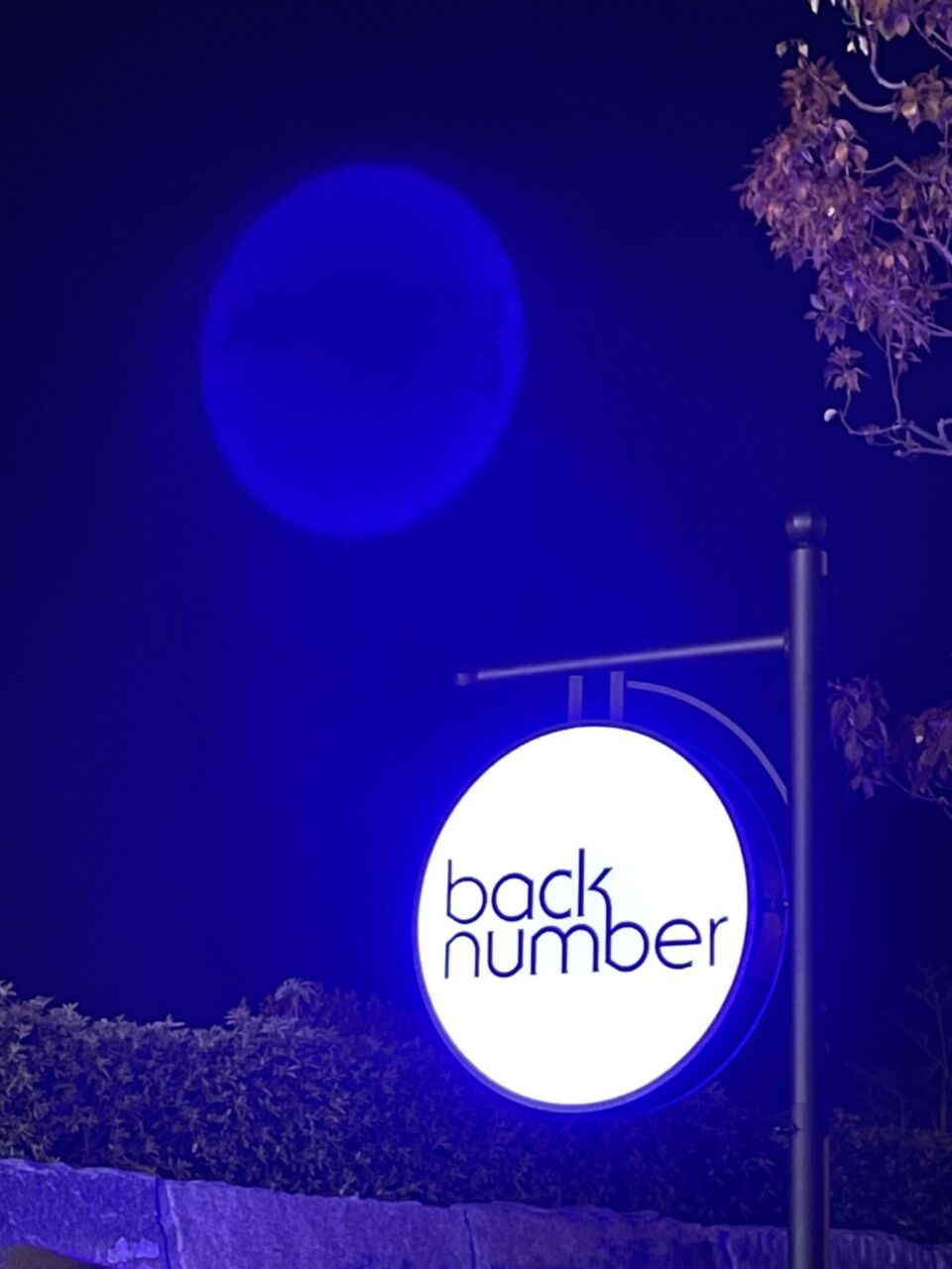 Back Number史上 最強で最高のツアーになること間違いなし ライブ内容のネタバレなし 会場周りの装飾のネタバレはあり Sympathy Back Number史上 最強で最高のツアーになること間違いなし ライブ内容のネタバレなし 会場周りの装飾のネタバレはあり Sympathy