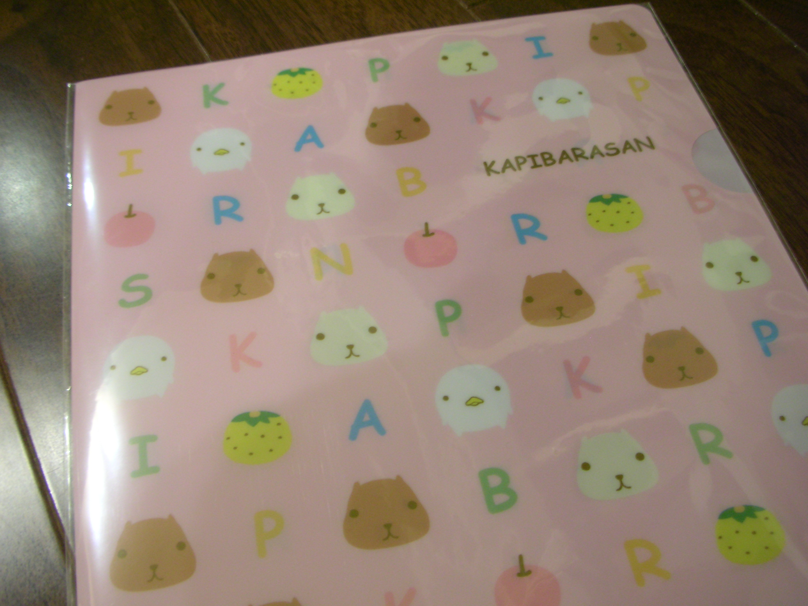 カピバラさんはゆず湯が大好き 家へ帰ろう Kokoro Note