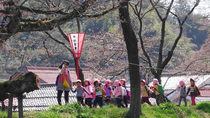 6DSC08470 (1)