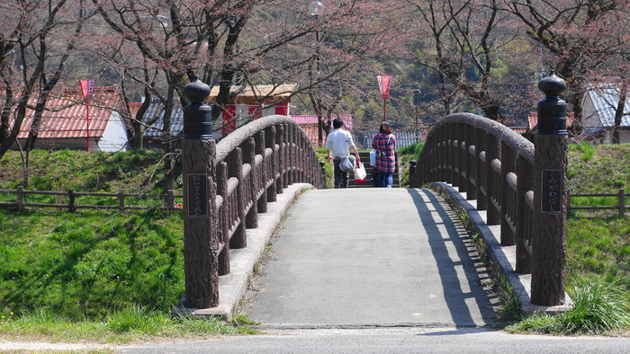5DSC08462 (1)