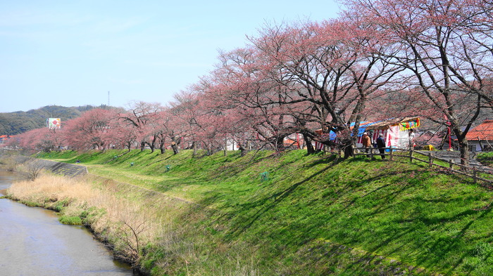 2DSC08467