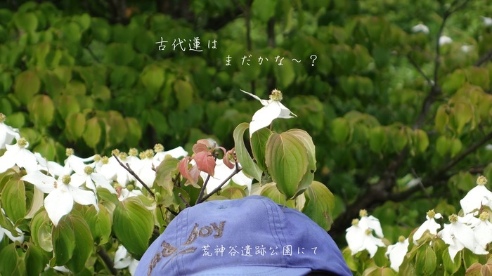 nnDSC07183