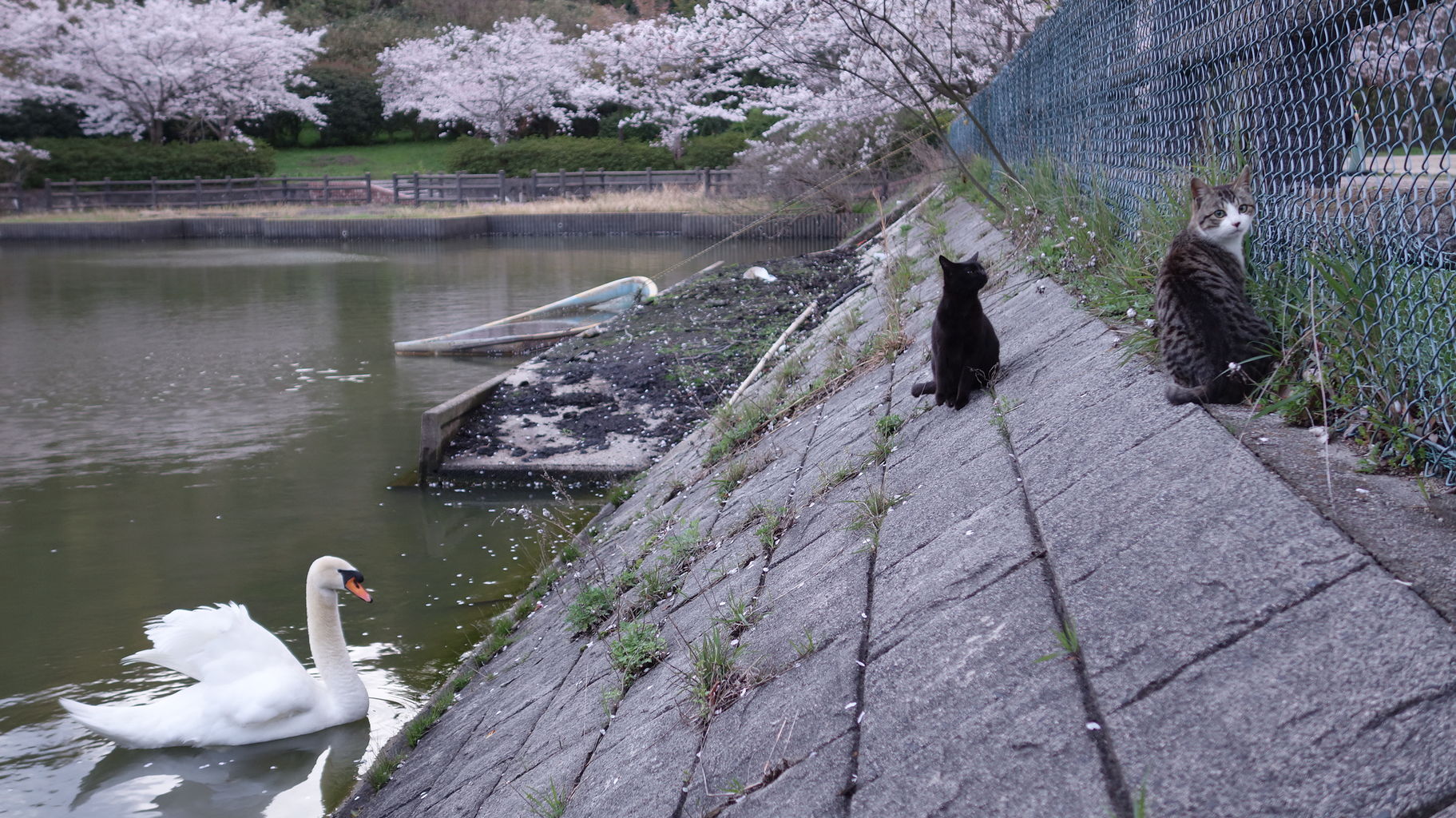 千葉県道285号内浦山公園線