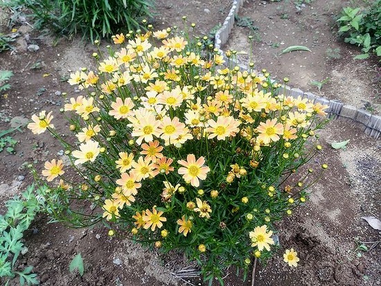 P_20190713_144356_HDR