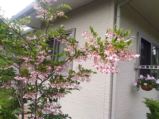 P_20190615_173849_HDR