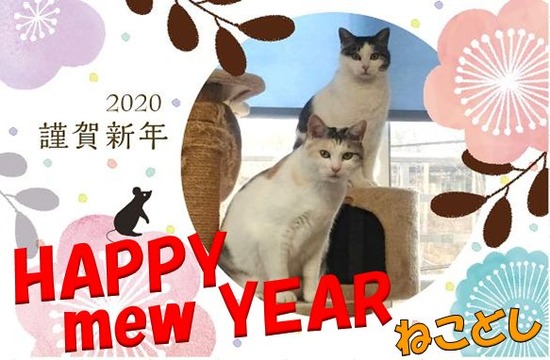 P_20191207_125618_HDR