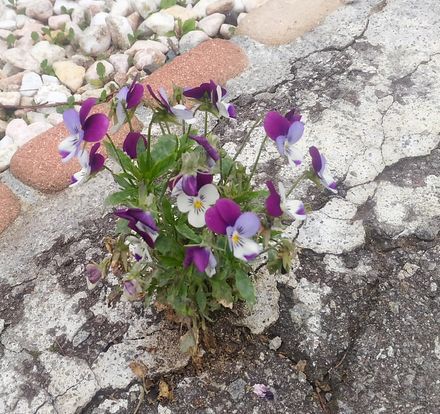 P_20190713_144922_HDR