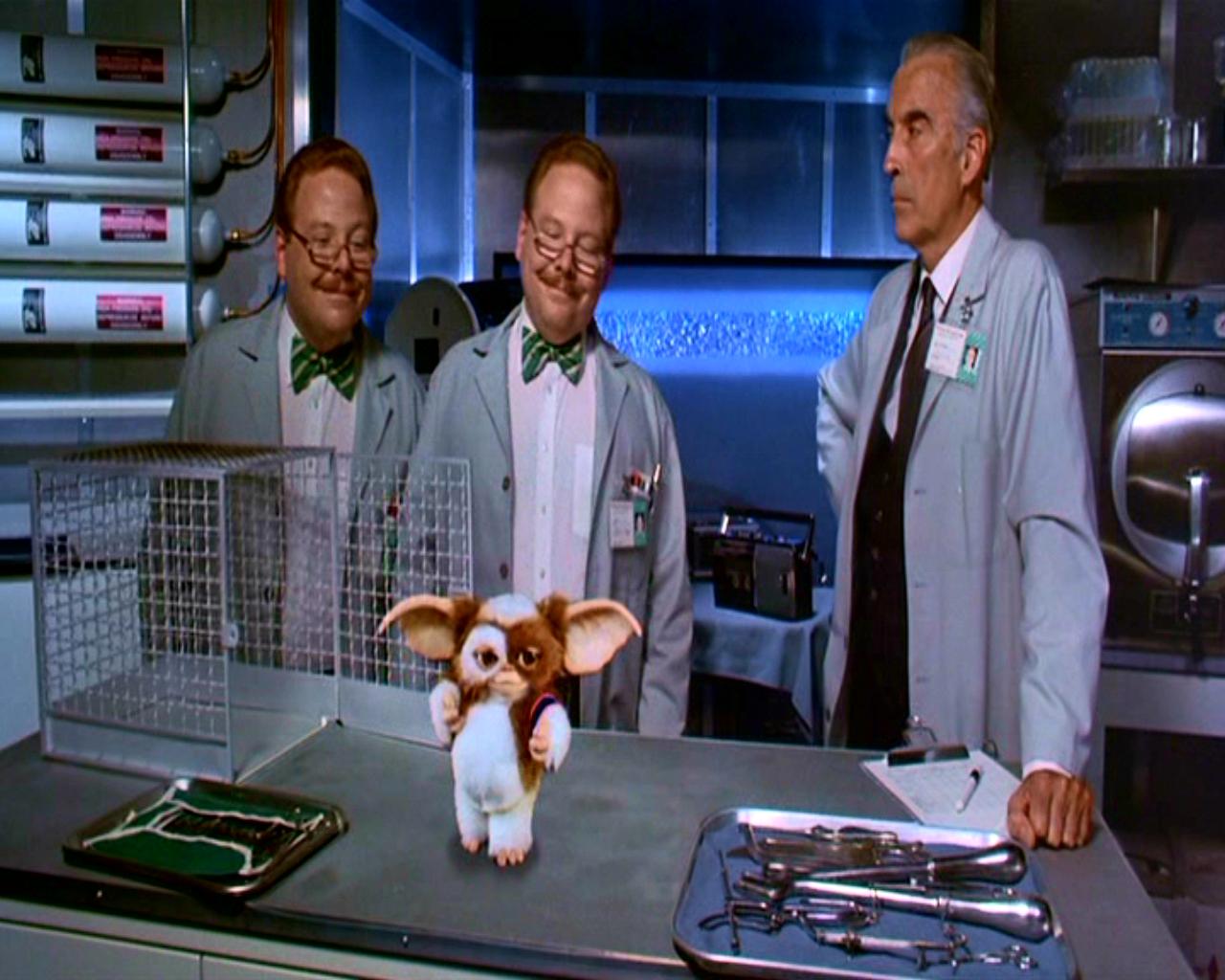 グレムリン１ ２ ムーｂチップ