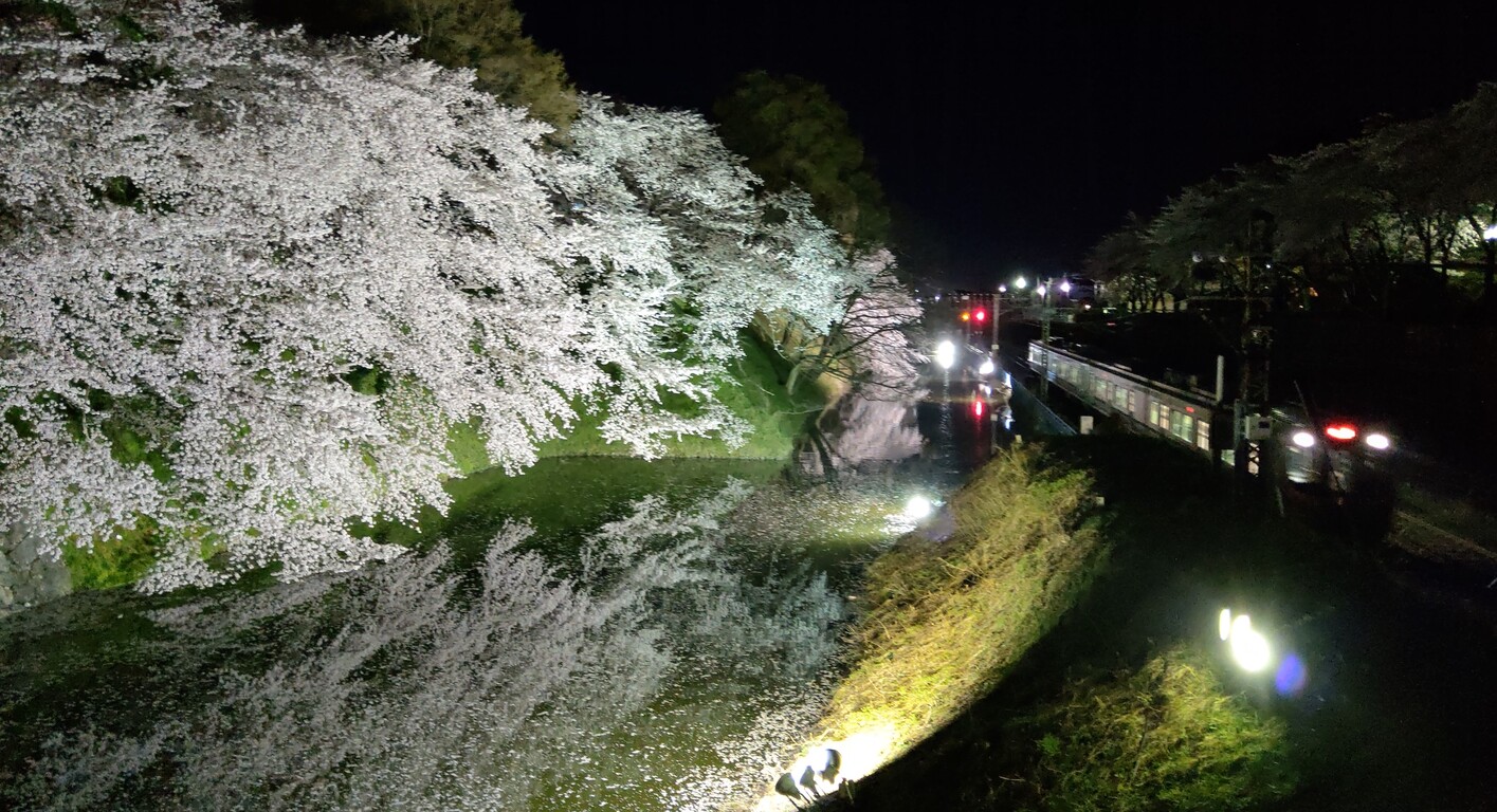 おでかけ 霞城公園の夜桜見物19 ステレオカセットキングダム