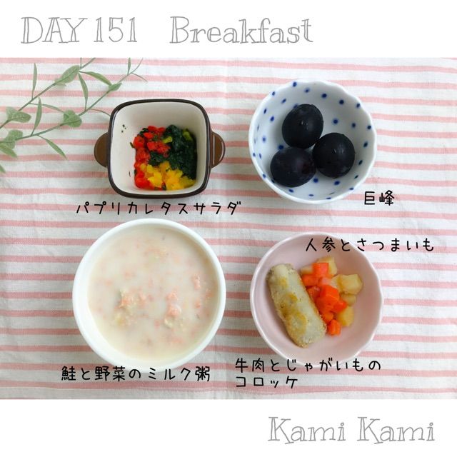 献立】DAY151✩カミカミ期&断乳2日目 : のんすけ＊おちびのおいしい