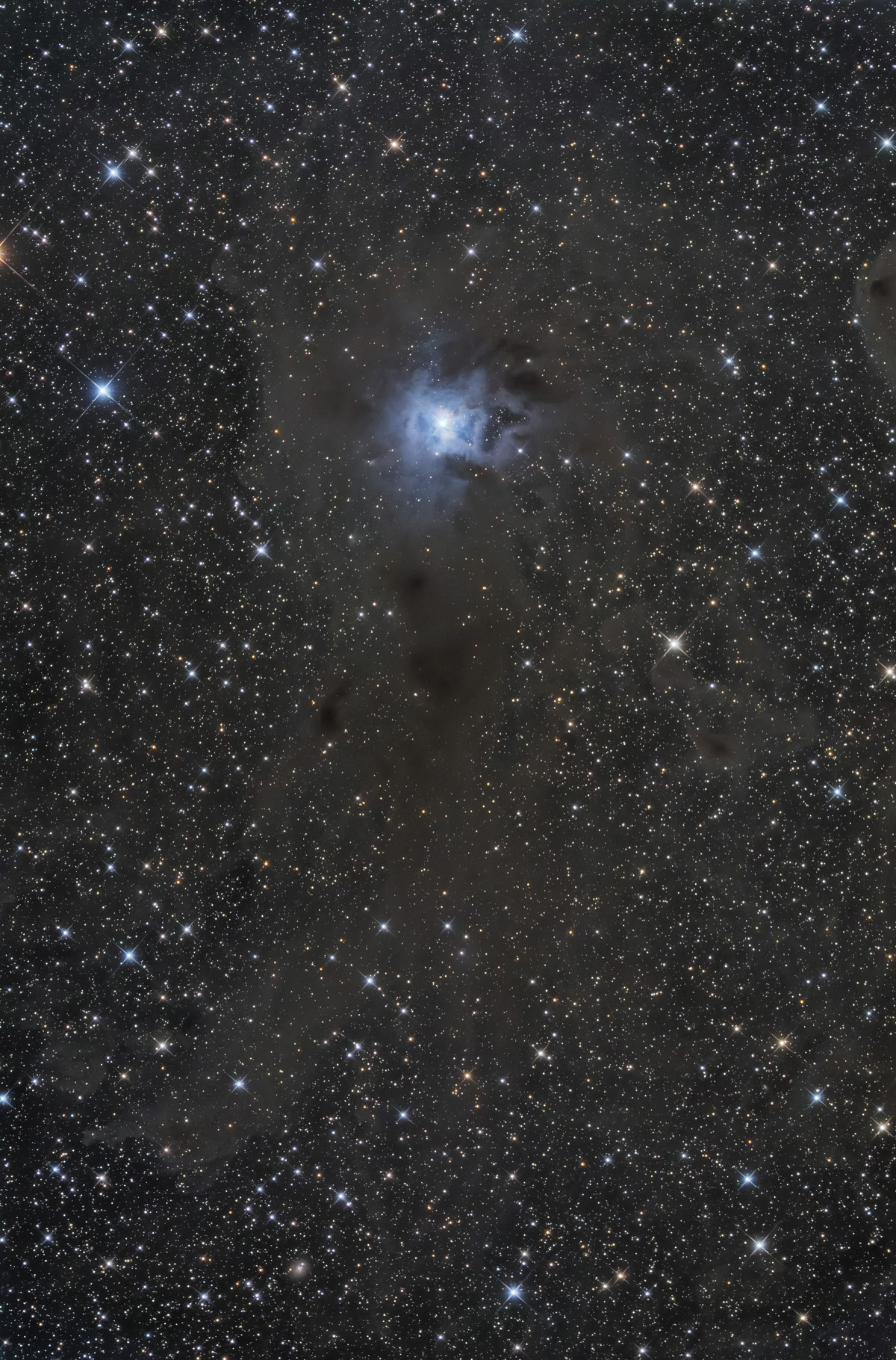 IRIS LRGB 300SEC 180SEC-denoise-denoise