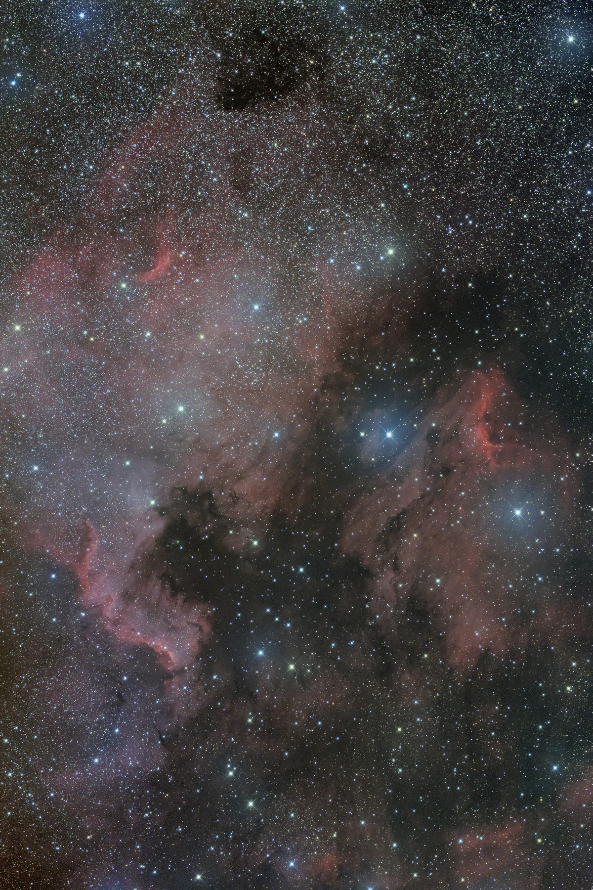NGC7000 LRGB E160ED RGB TO LUM ASHTPS NO3 のコピー