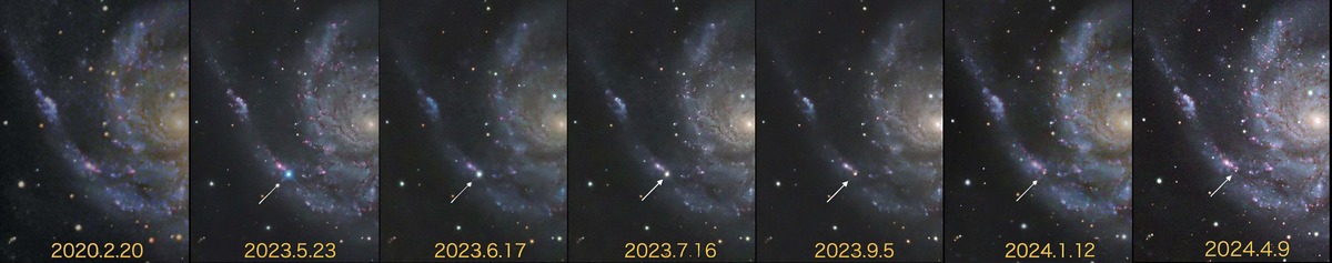 SN2023ixfの光度変化1年分2