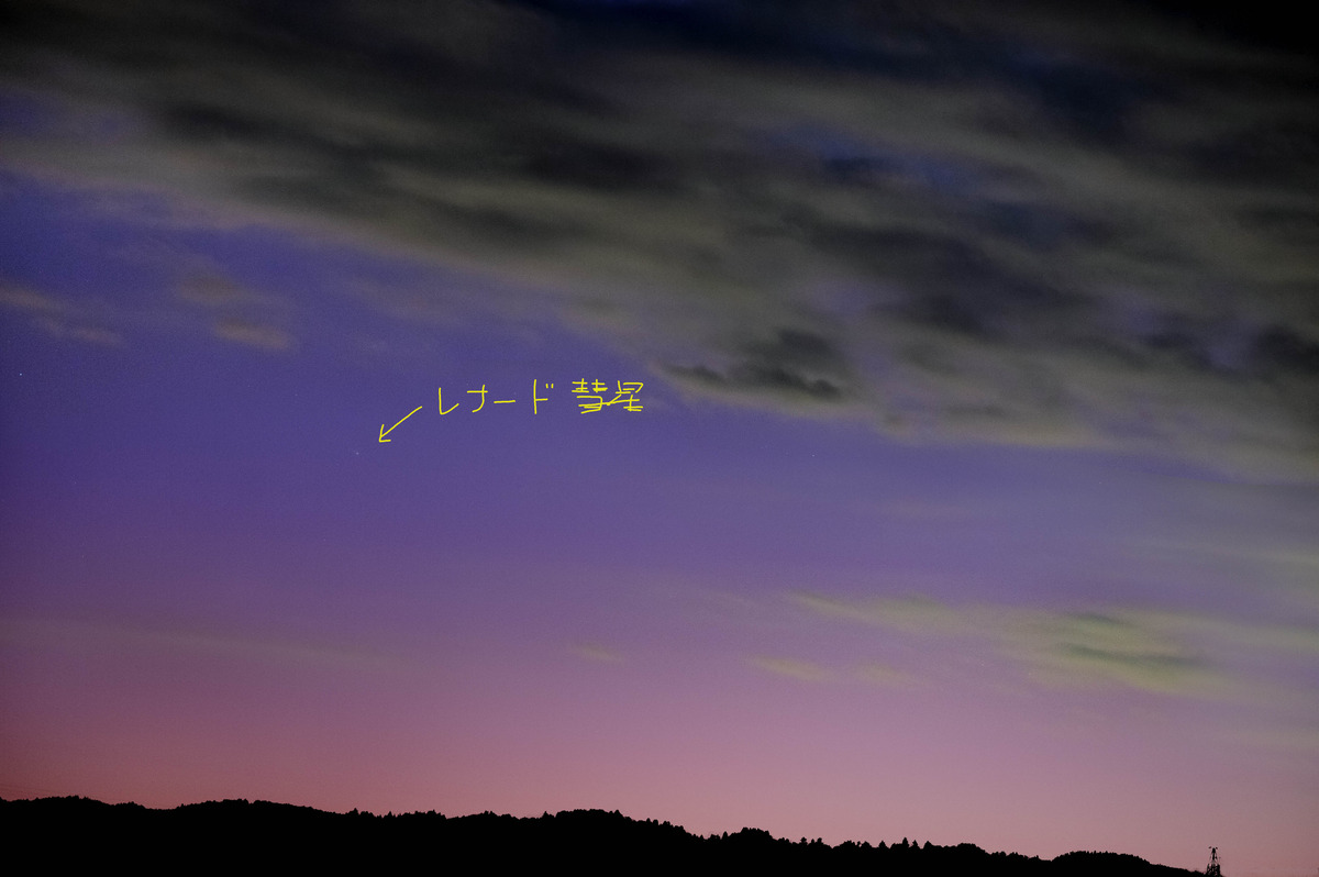 レナード彗星1月2日 のコピー2