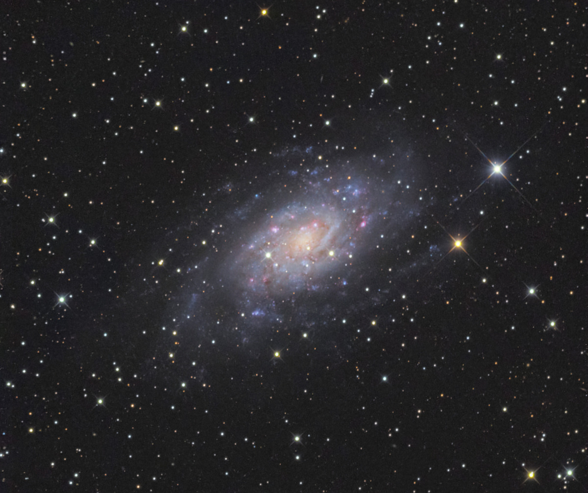 NGC2403最終版