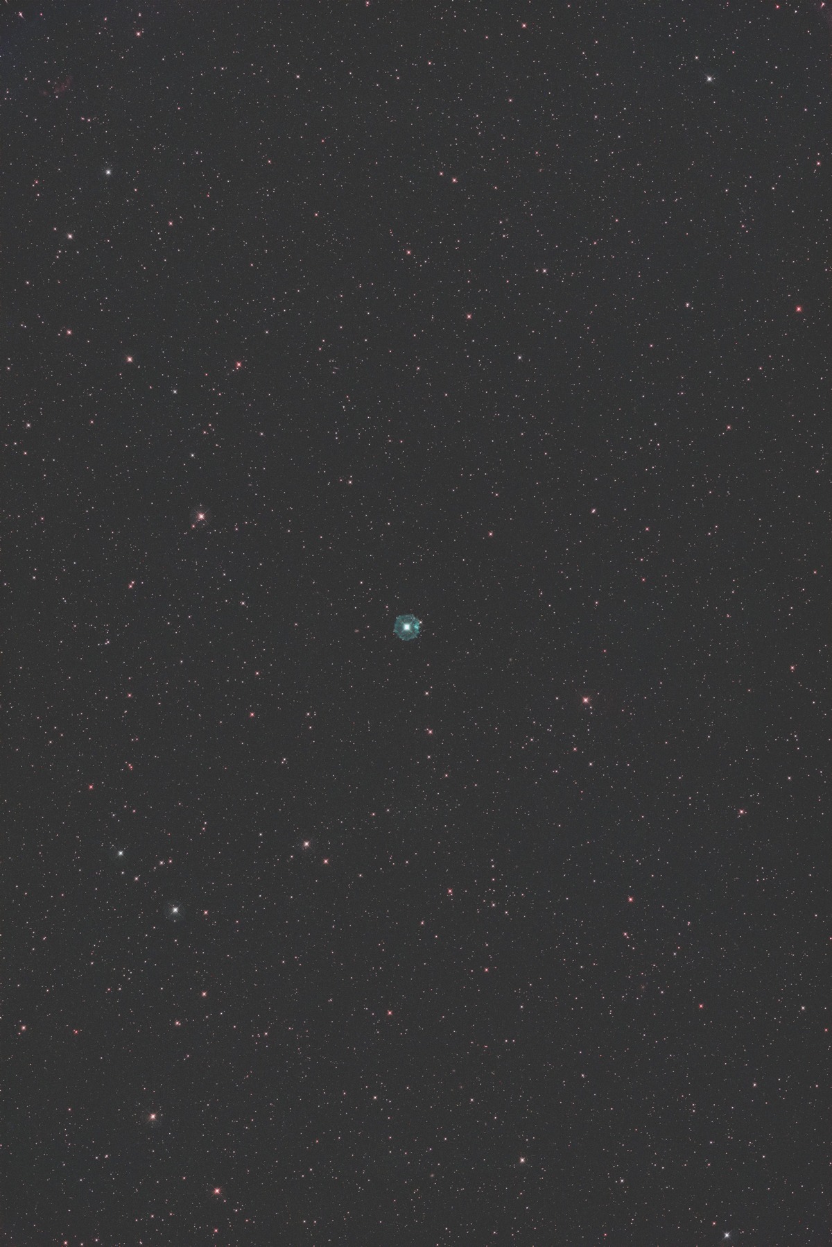 cats eye ε-160ED+ のコピーMUL