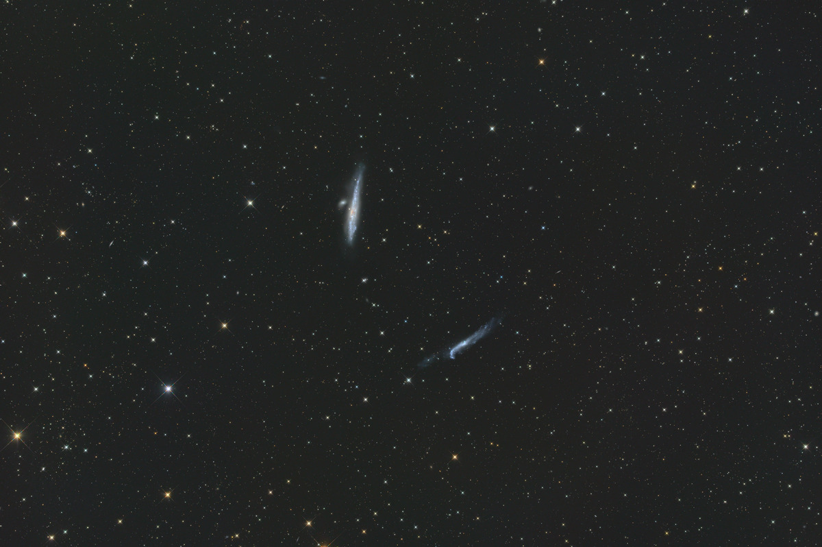 KUJIRA_E160ED_ET160ED_6200MMP_Lum E130D_2600MCPLRGB_no3 5500