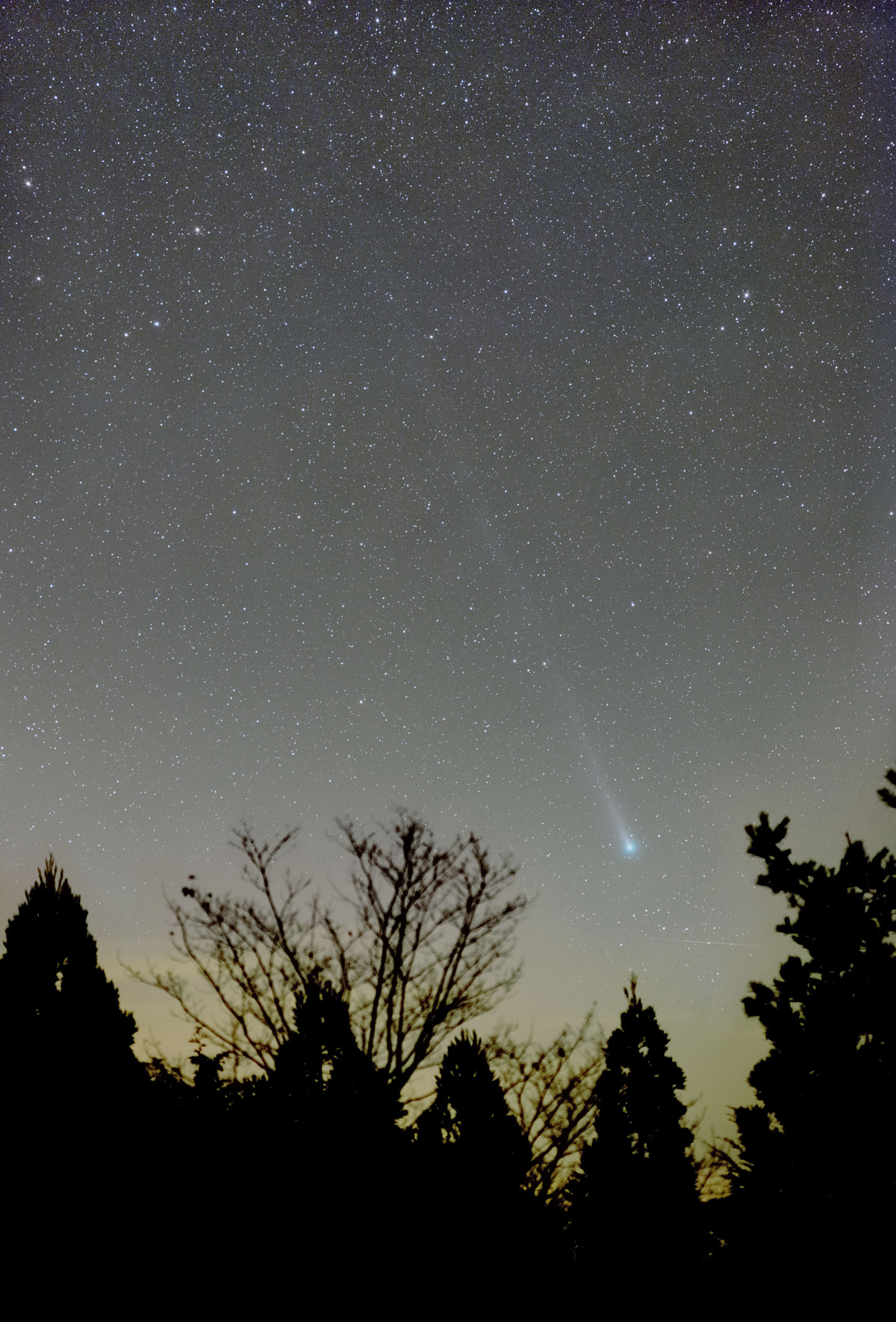 レナード彗星2021.12.09Apo-Sonnar135mm　EOS6DSP5No2 のコピー