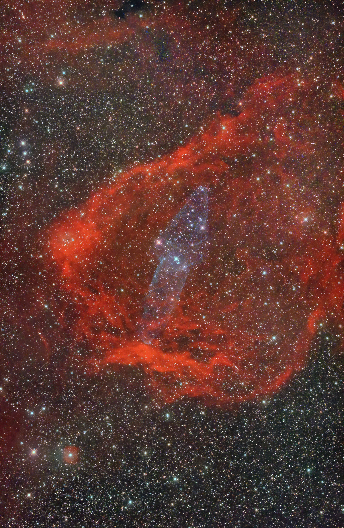 イカ星雲E130D_Cooled6D_L-eXtreme自宅2021年8月10日