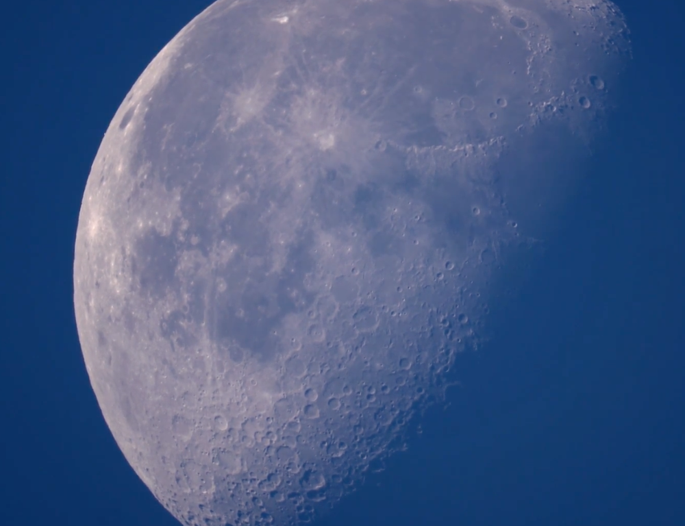 スクリーンショット 2019-07-13 10.23.49