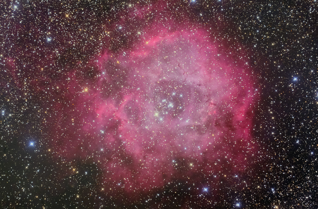 a259c88b.jpg