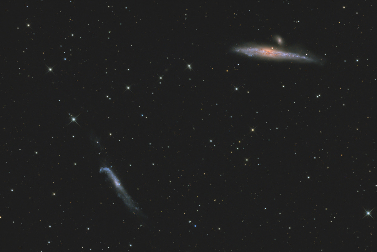 ngc4631
