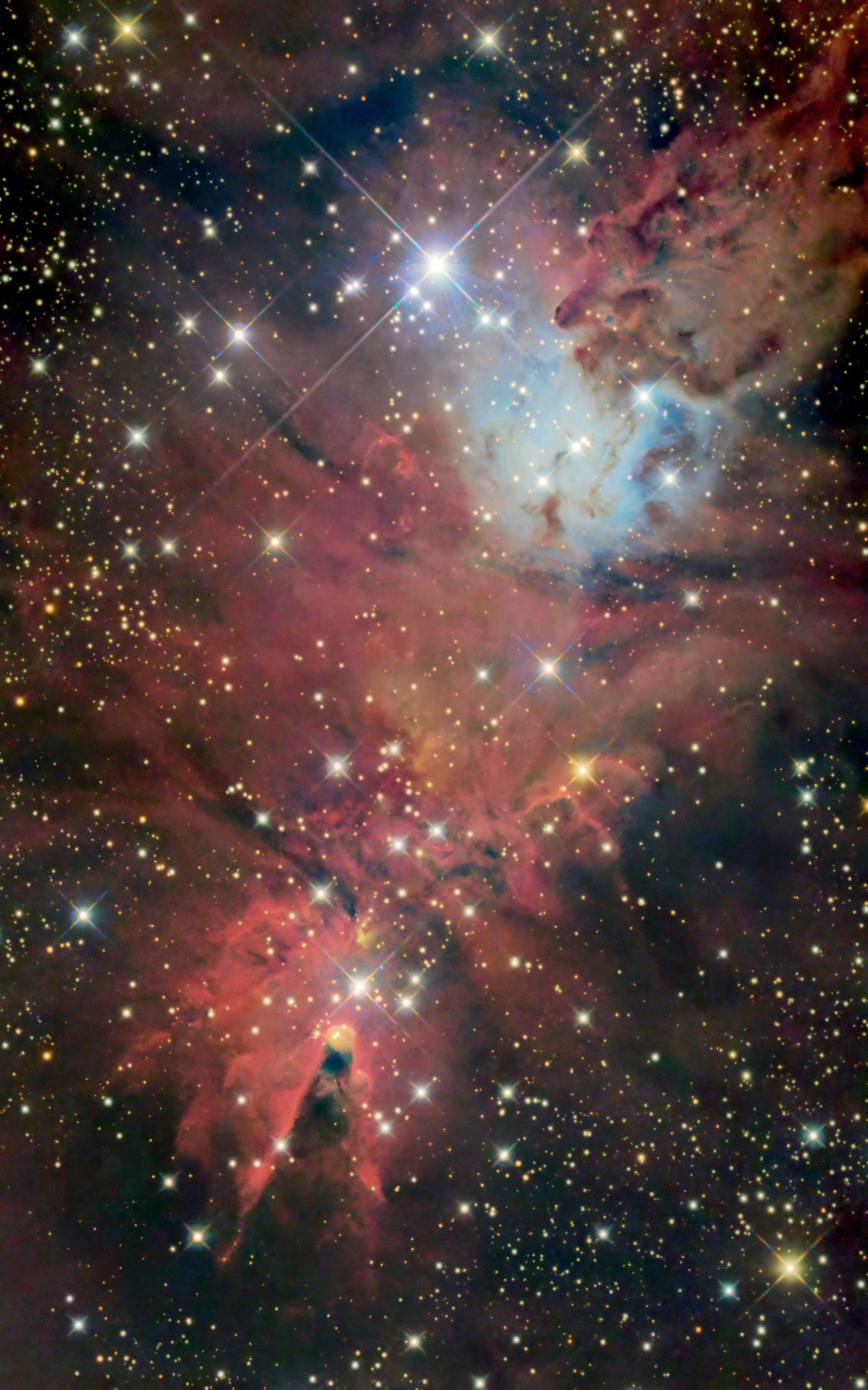 NGC2264クリスマス星雲5000
