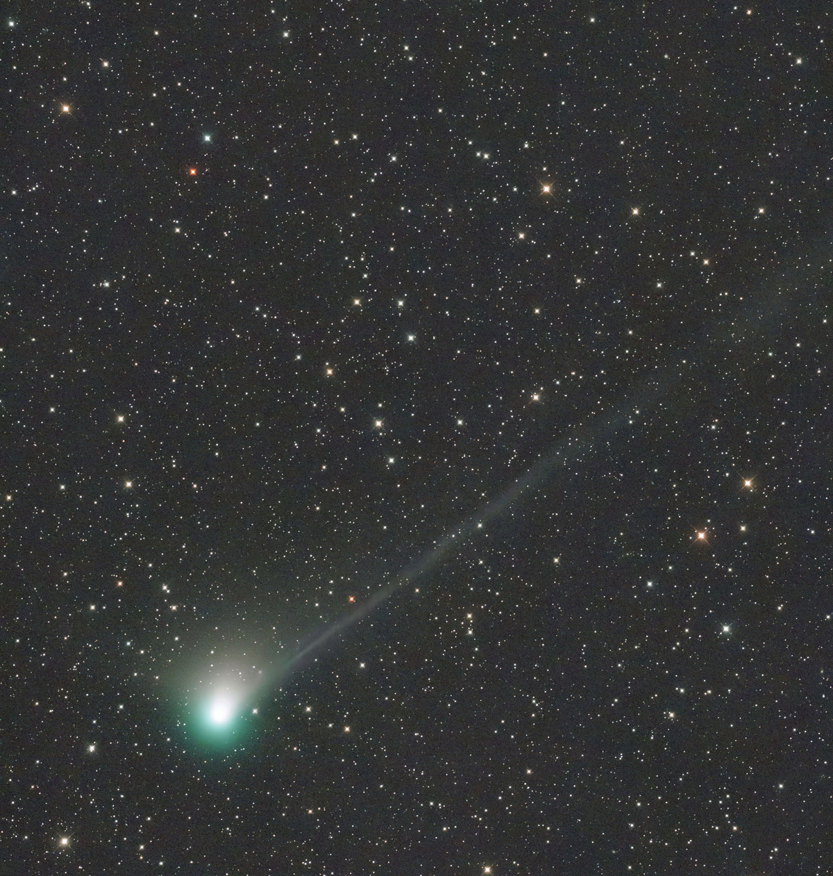 ZTF彗星2023年1月12日近日点通過日3Crop