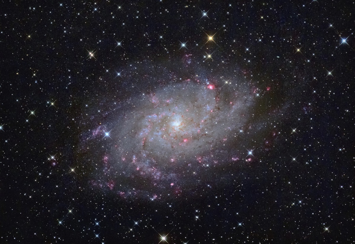 M33