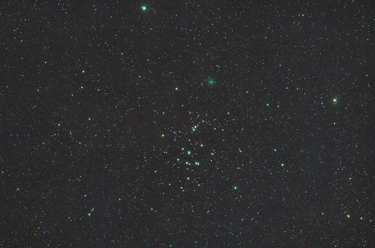 紫金山彗星（62P）とM44の大接近　2023年11月15日 のコピー