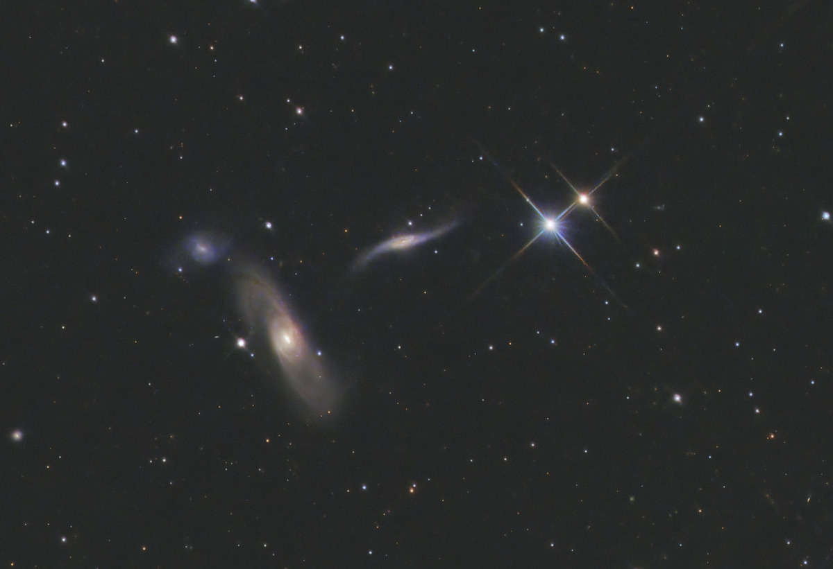 Arp286 CROP