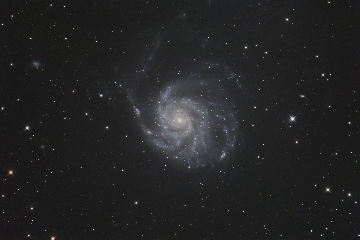 SN2023ixf in M101 20240603 のコピー