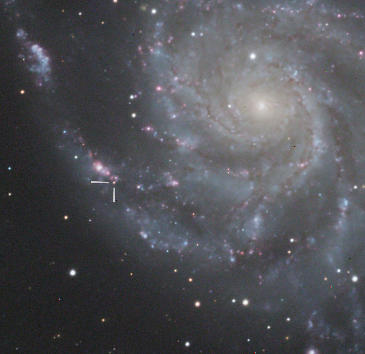 SN2023ixf in M101 20240603 のコピー2rainn