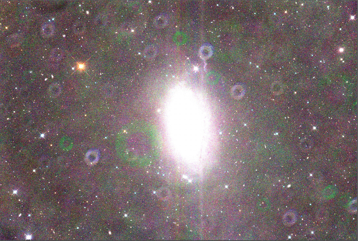 スクリーンショット 2024-05-30 20.26.42 のコピー